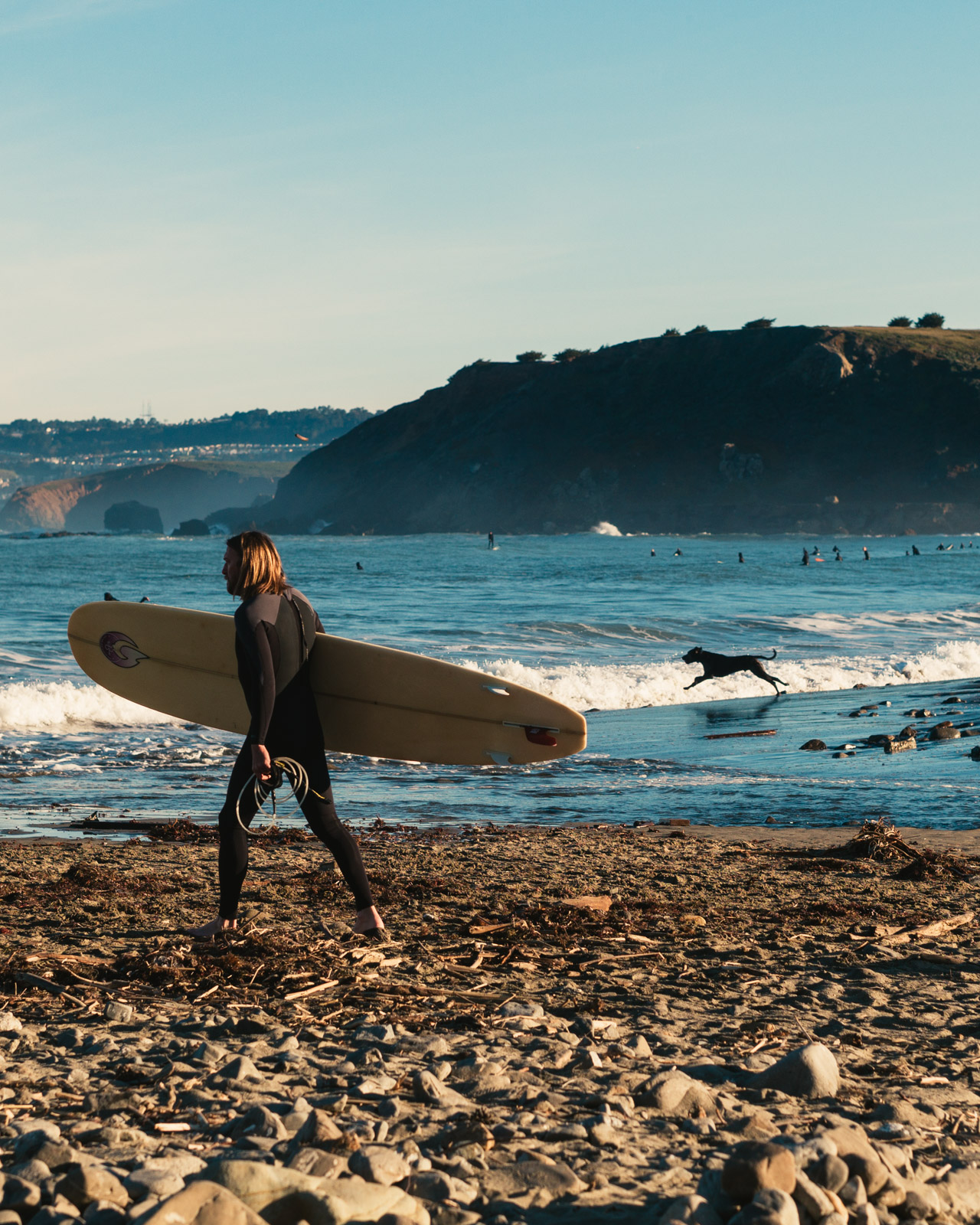 Surfer and Pup